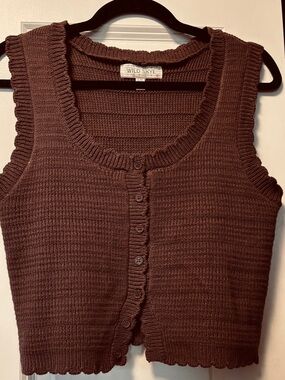Wild Skye Brown Knit Button Front Top